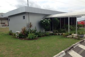 Clinica Veterinária