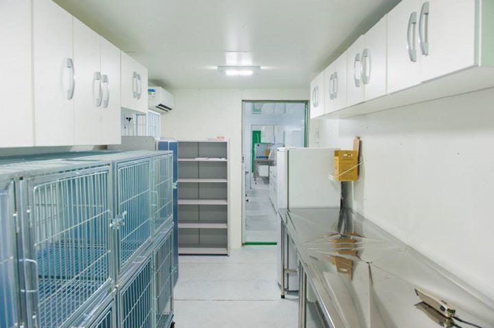 Clinica Veterinária
