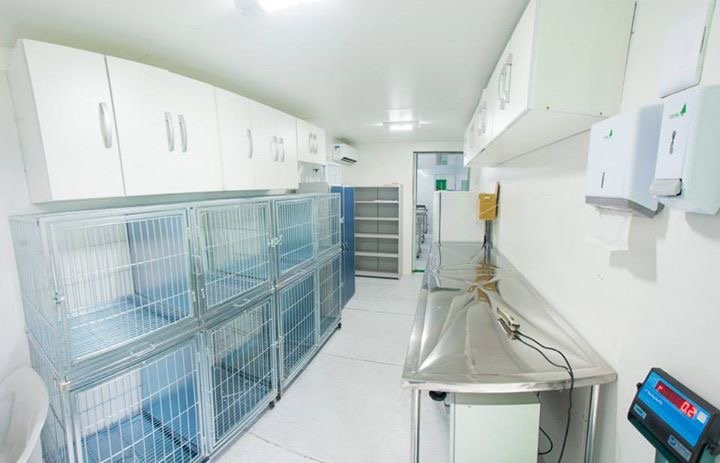 Clinica Veterinária